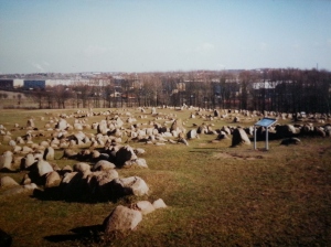 Carefully preserved Viking history. It was eerie to be so close to such ancient remnants. I found it ironic to see the modern skyline of Aalborg in the distance.